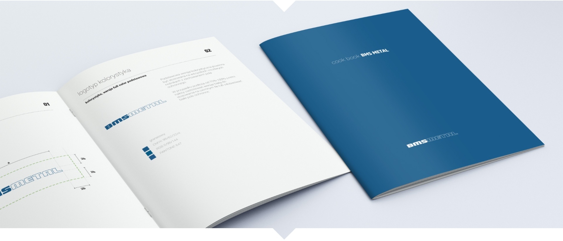 Mockup publikacji i raportu BMS Metal